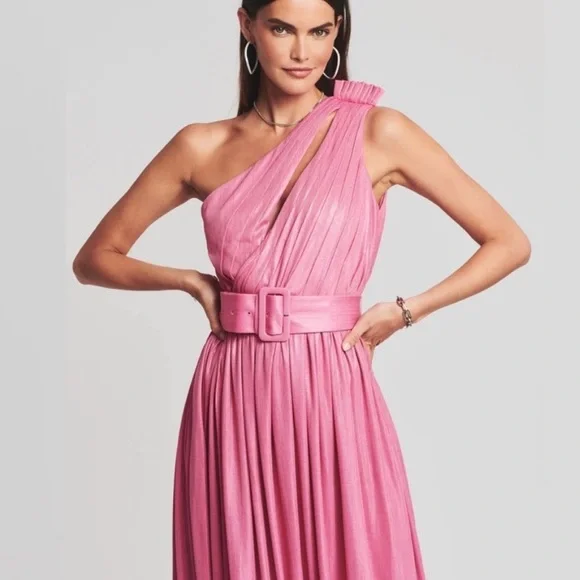 NWT Retrofete Andrea dress pink size XS - Picture 2 of 9